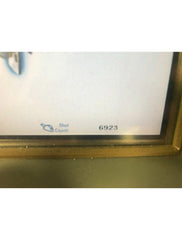 2007 Palomar Starlux 500 Lux V IPL 祛痘手柄 Star Lux LuxV 7K 低光