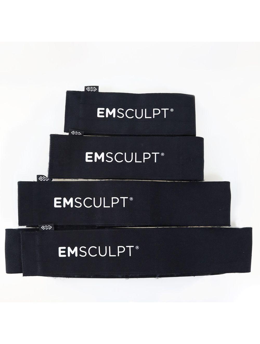 2020 BTL EmSculpt Body Sculpting With Emsella Electromagnetic Incontinence System BTL